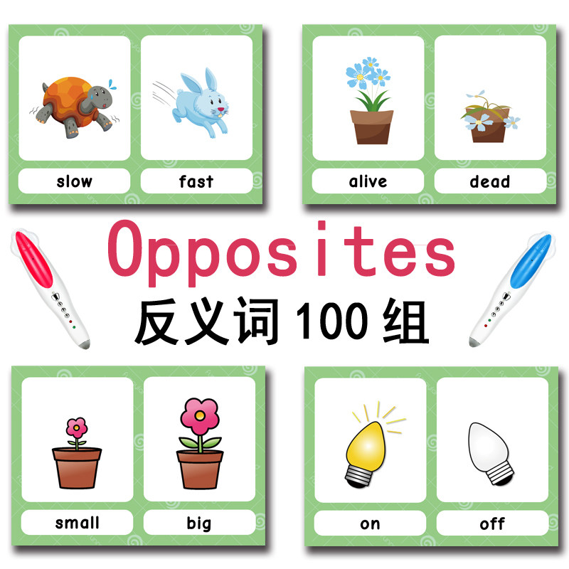 The 100 Groups Opposites Flash - Kids Educational Resources recension och pris