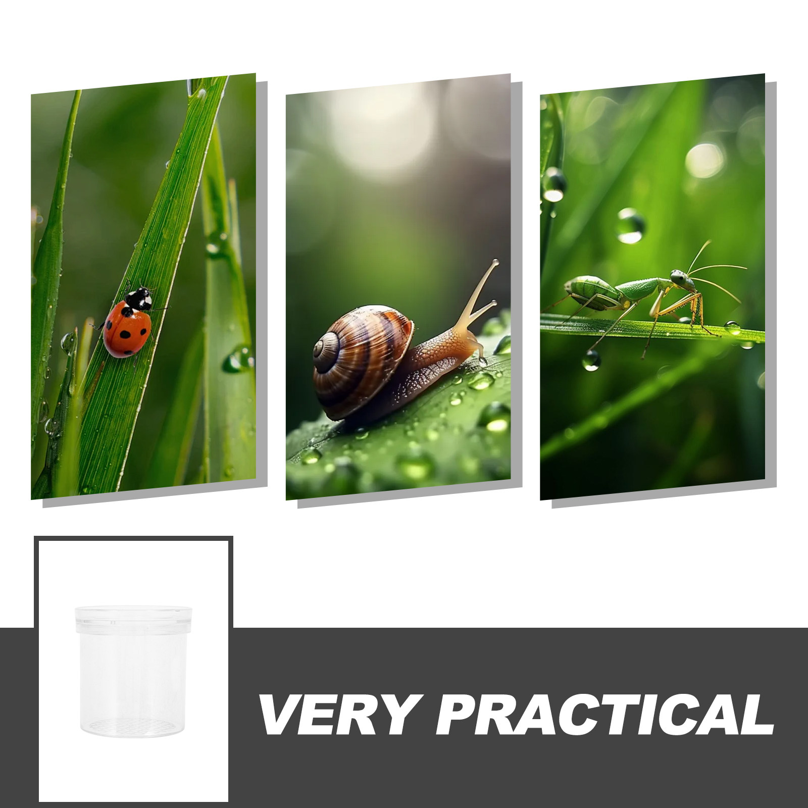 3X Magnifying Insect Observati - Kids Outdoor Education recension och pris
